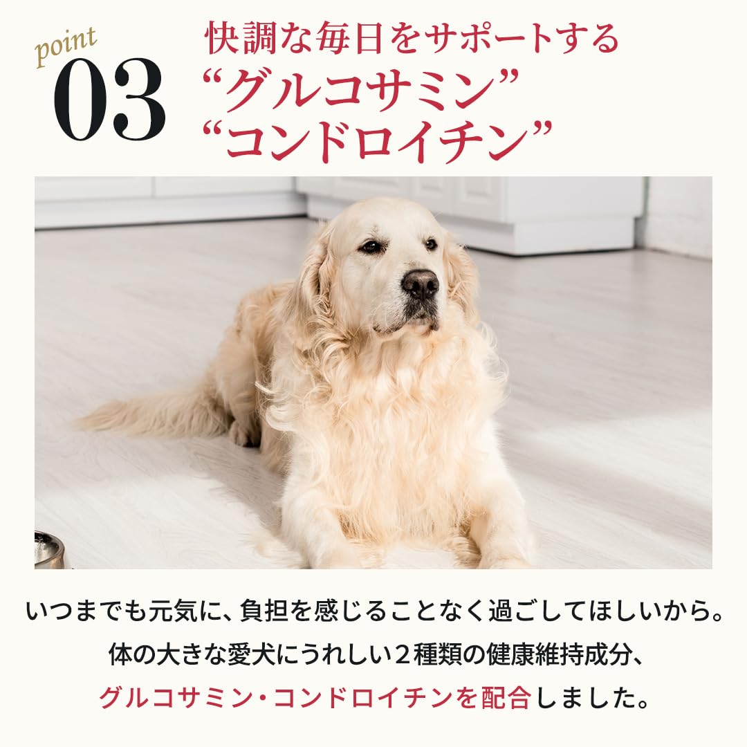 Amazon.co.jp: ネルソンズ ドッグフード 大型犬用 (10kg) 大型犬種