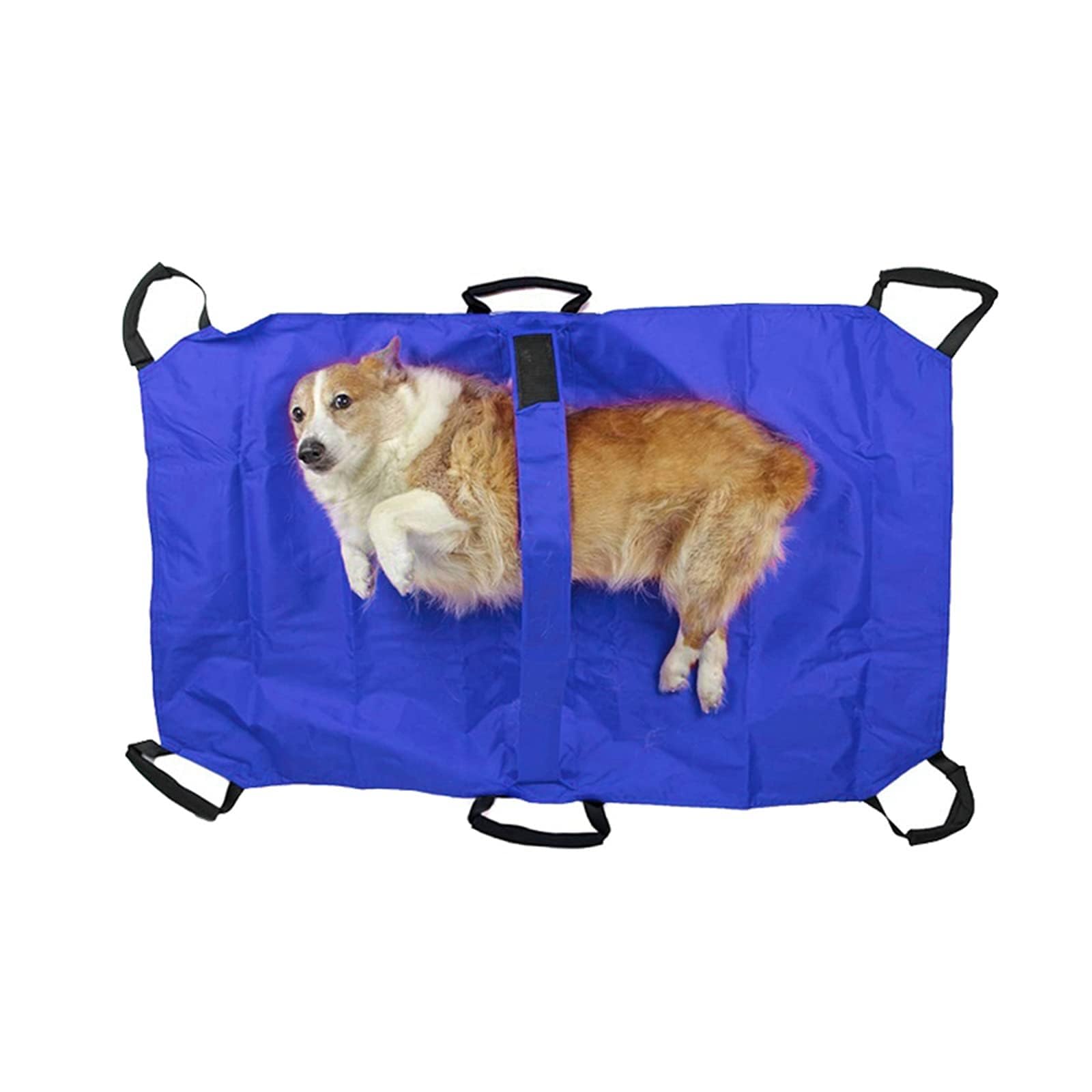 Faltbare Haustiertrage, geeignet für Hunde und andere Tiere - aus weichem Nylon, tragbar für den Notfalltransport, ideal für die Erste-Hilfe am Haustier - perfekt für Outdoor-Abenteuer (rot)