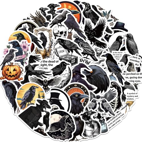 50Zbg JXe[} mN~Xe[ SVbNvf _[NCXg g͋C XebJ[ h fJ[   lC m[gp\R p\R Xm{ XP[g{[h ו X[cP[X M^[  X}zP[X XP