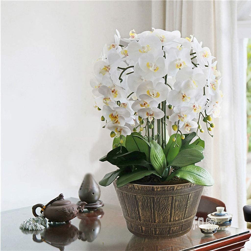 Zestaw sztucznych kwiatów Bonsai z wazonem, jedwabna tkanina, kompozycja Phalaenopsis do dekoracji stołu w domu i biurze, piękne kwiaty i wazon