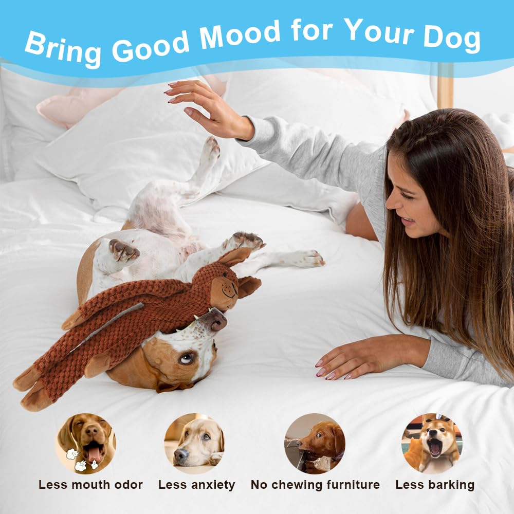 Juguetes chirriantes para perros pequeños, medianos y grandes, juguete masticable duradero para dentición y masticación, juguete interactivo resistente para cachorros, paquete de 5, para