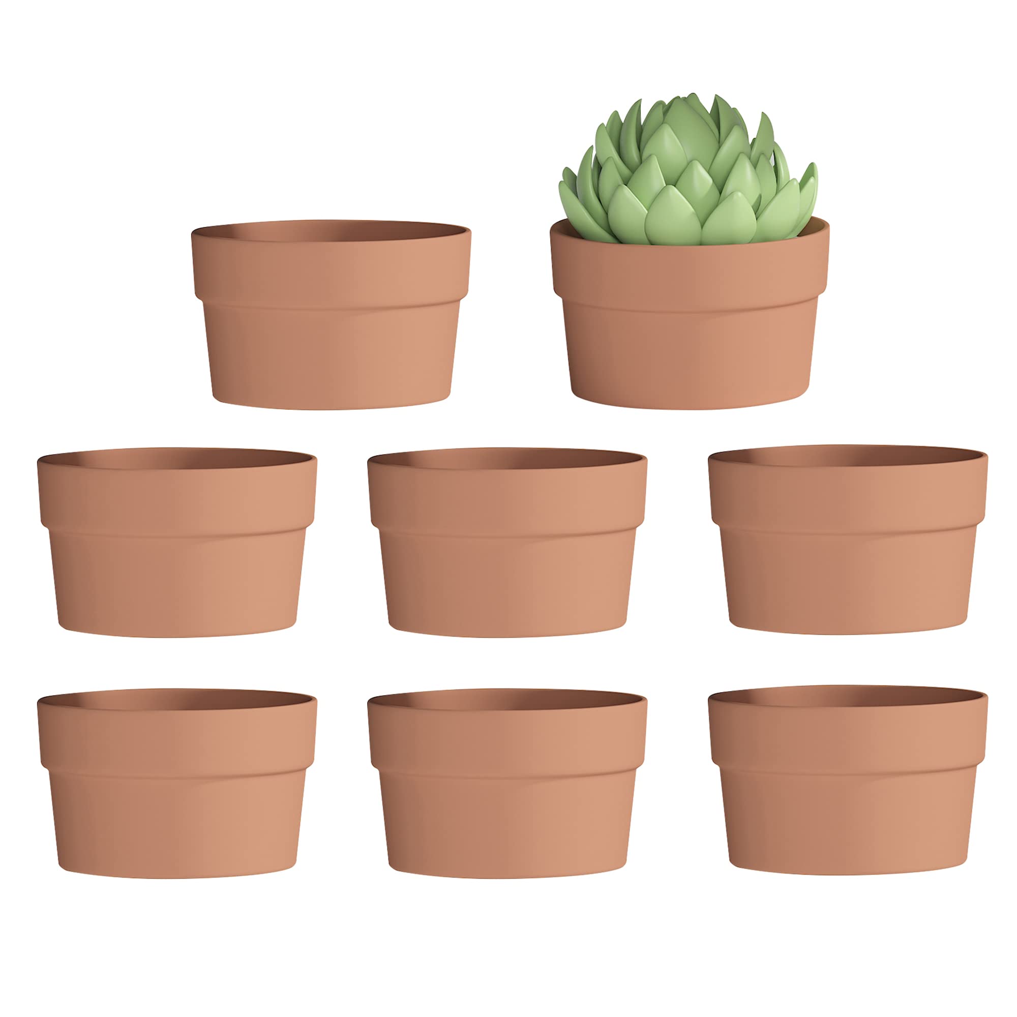 Vasi in ceramica per piante grasse, 5 piccoli vasi rotondi colorati, piante non incluse. | Leroy Merlin