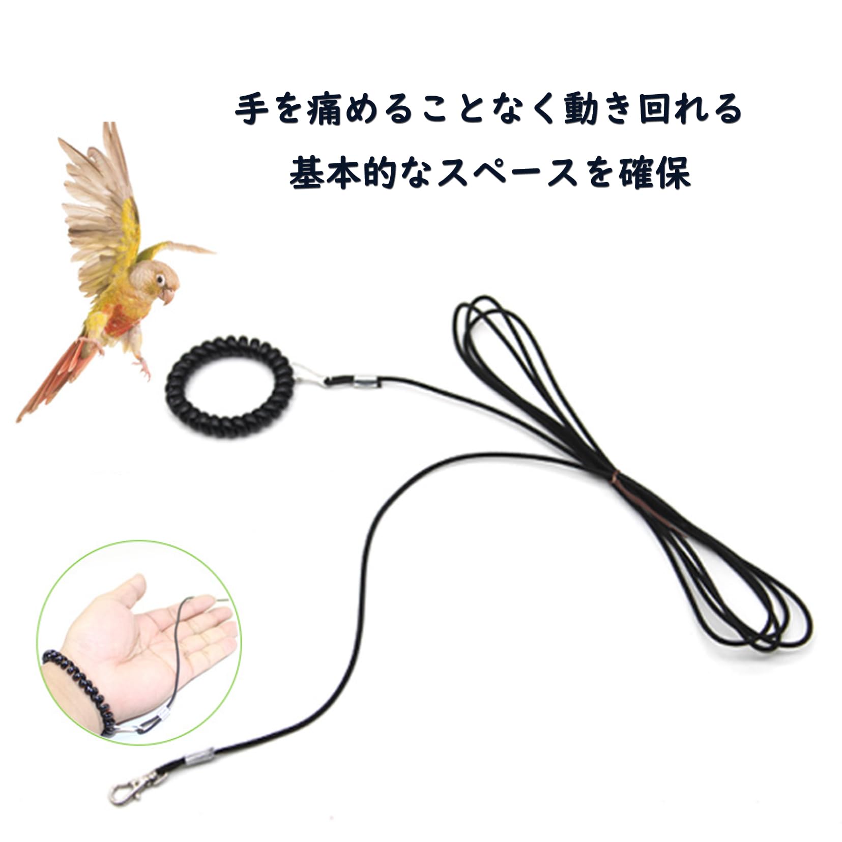 Amazon | 鳥 リード 鳥用ハーネス 鳥の飛行ロープ オウムハーネス 鳥