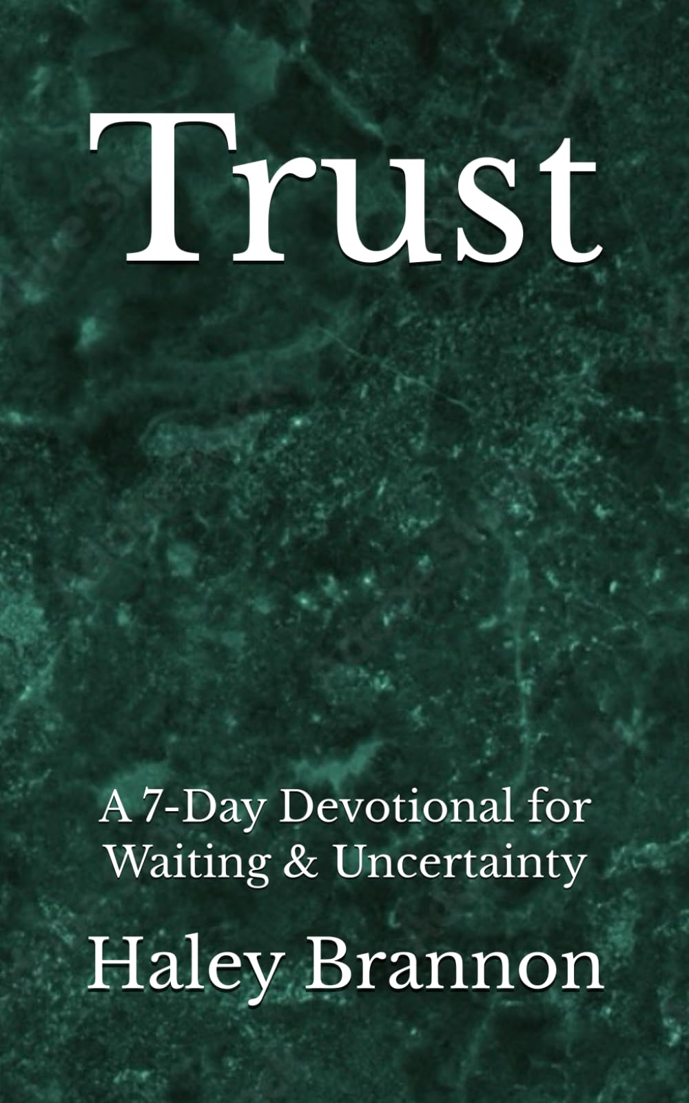 Trust: A 7-Day Devotional for Waiting & Uncertainty (Valley Faith Devotional Series)
