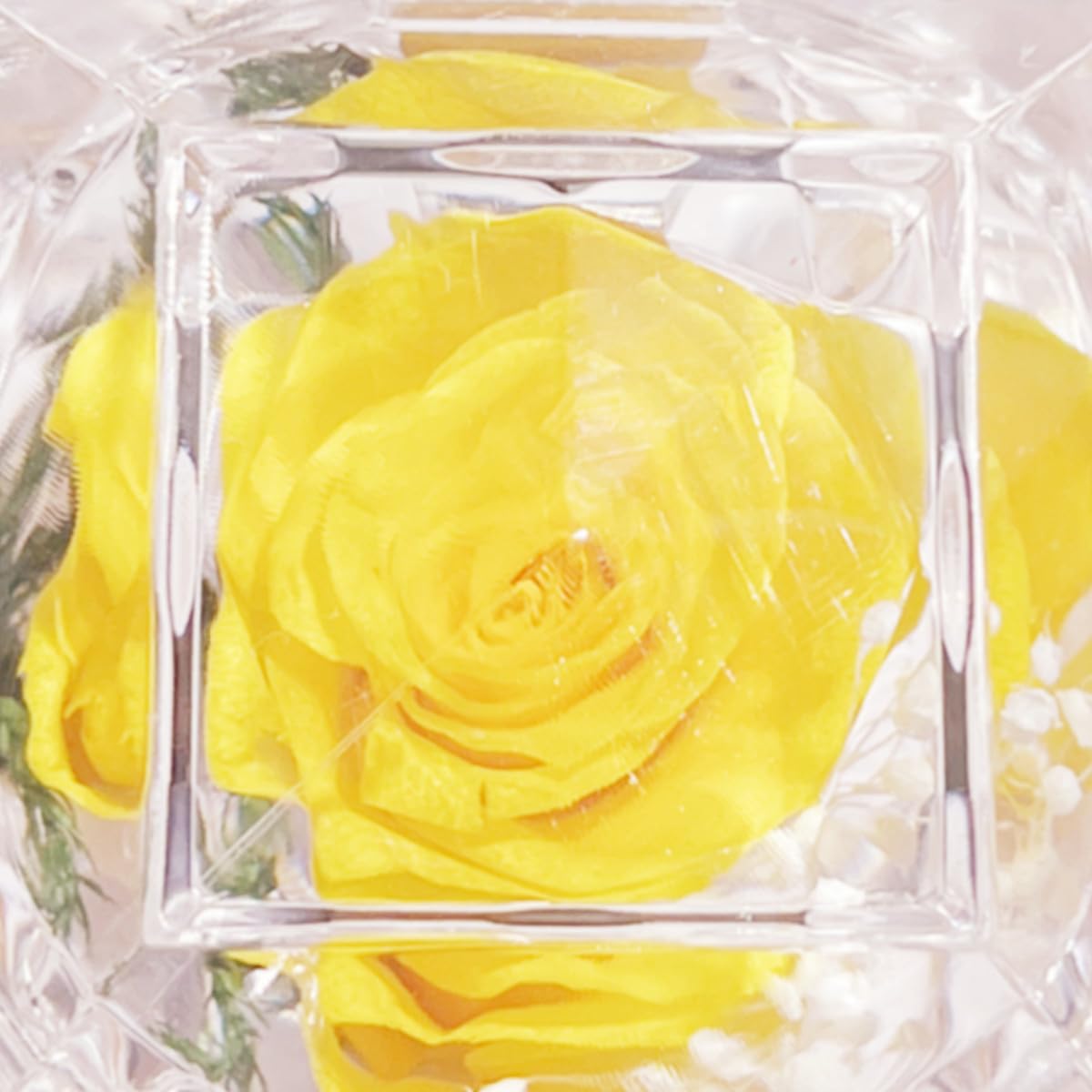 Preserved Rose Real Fresh Rose in Mini Clear Ring Box, Eternal Flower Rose Gifts for Women Mom Girlfriend Grandma, Mothers Day, Anniversary, Valentines, Christmas, Birthday (Yellow)