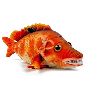 さかな Amazon.co.jp: 太洋産業貿易 SK002 さかなクン監修 おさかな