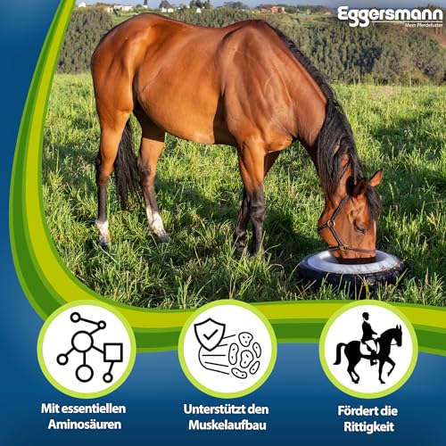 Eggersmann Mein Pferdefutter Profi Aminoral 20 kg – Konzentrat mit essentiellen Aminosäuren – Unterstützt den Muskelaufbau, die Rittigkeit & Ausdauer – Ergänzungsfuttermittel ideal für Sportpferde