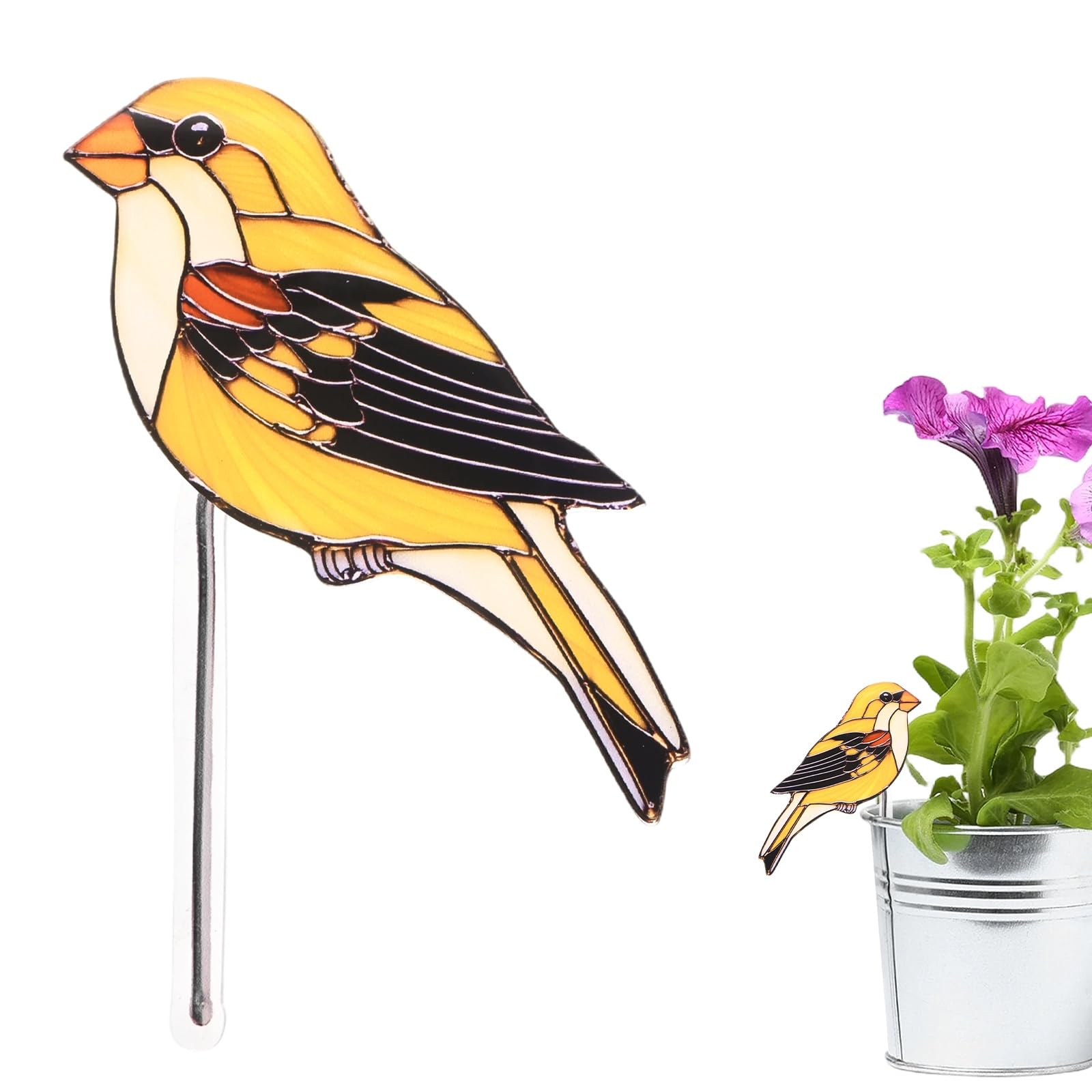 M METERXITY 1-Pack Bird Acrylic Stakes 4.7 inch, Birding 19