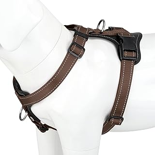 Leather Harness For Dogs Picks collage image 1