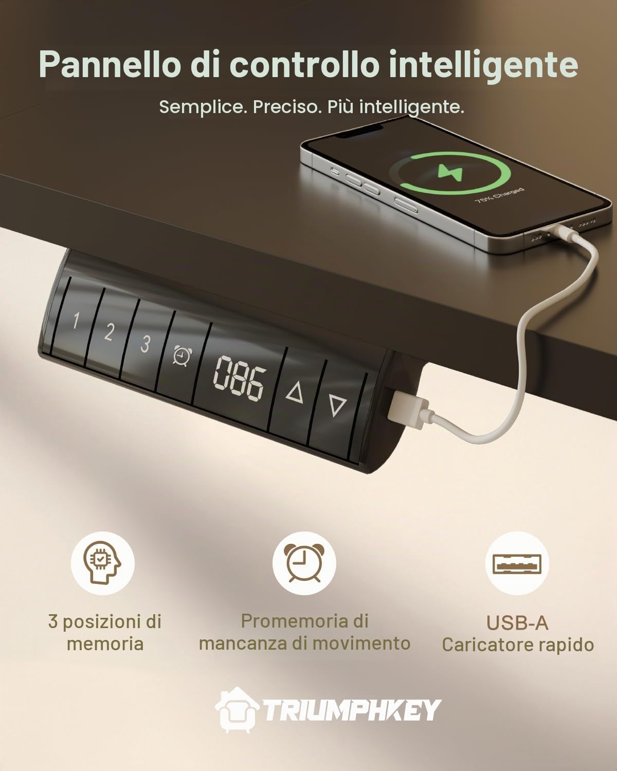 TRIUMPHKEY Scrivania Elettrica Regolabile in Altezza, 160 x 80 cm, 3 Funzioni Memoria, Porta USB, Con 2 ganci, Tavola Splice Standing desk, In Piedi Adatta Per Casa E Ufficio, Nero+Nero