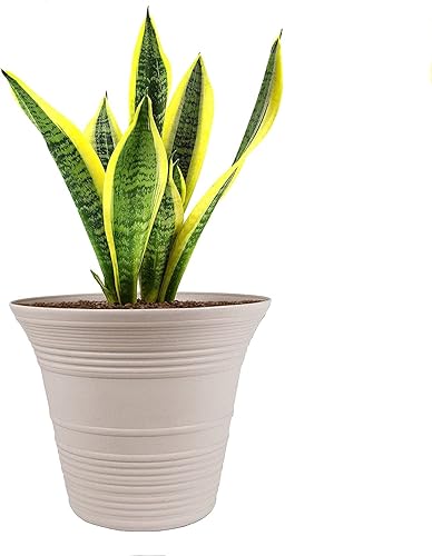 Miniatura 173 de The HC Companies Sedona - Maceta redonda de autorriego – Maceta ligera de cuidado personal – Maceta de plástico para hierbas y más – Macetas Gris