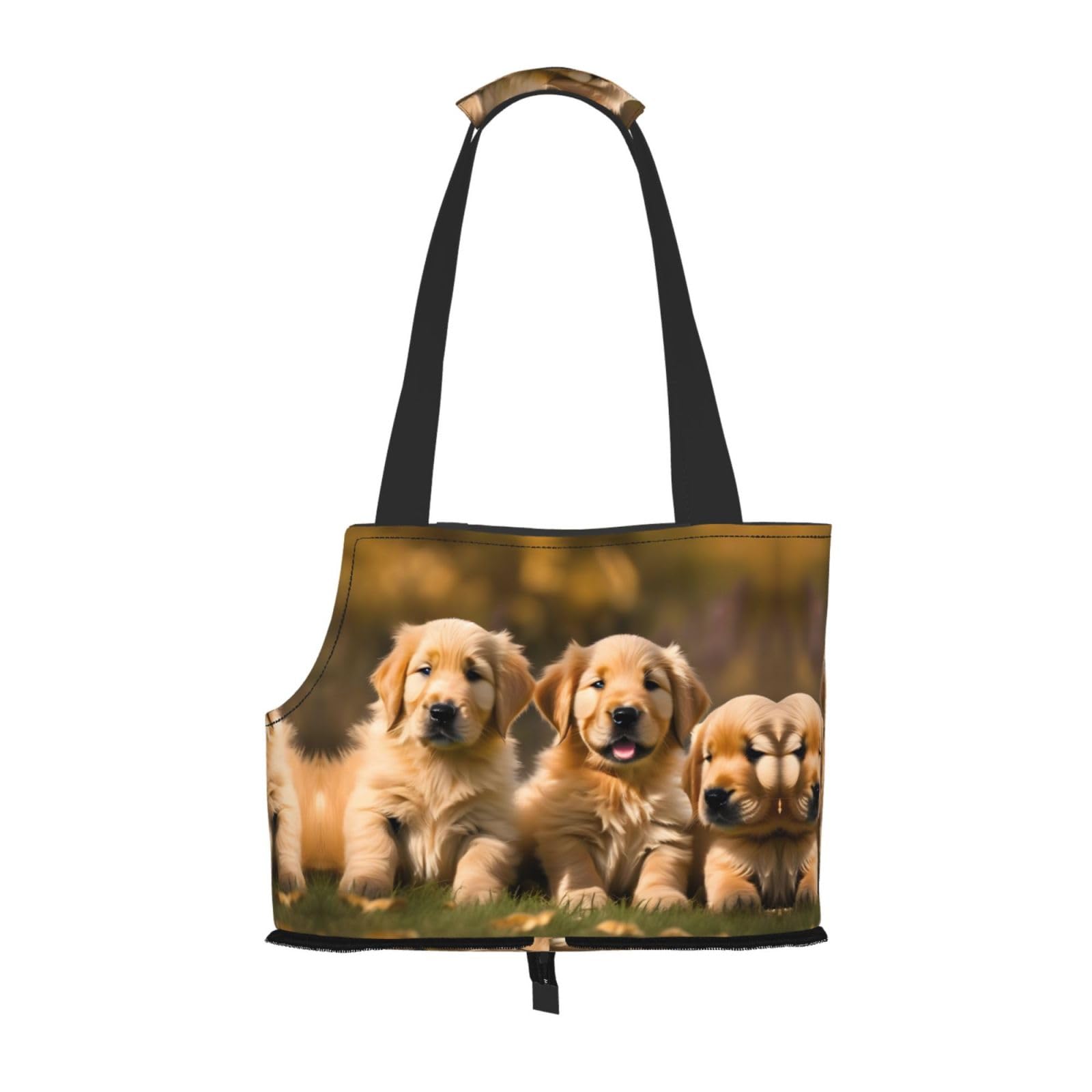 Sac de transport pour petits chiens et chats Golden Retriever, idéal pour vos sorties en ville