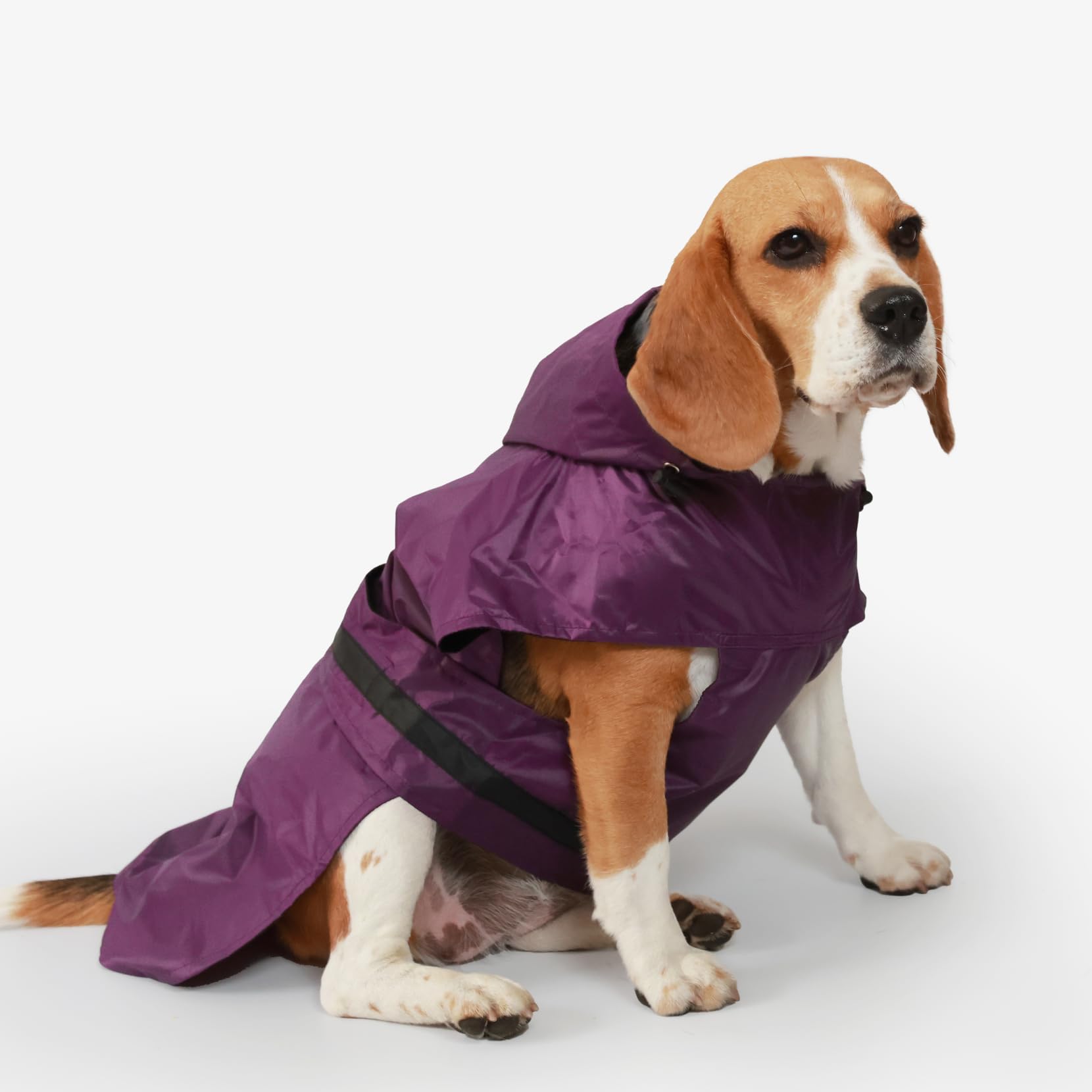 Mutt of Course Puple Raincoat For Dogs With 26 Length|Recommended Dog Raincoat For Golden Retrievers, Dobermann, & Similar Size Dogs|Adjustable Waist & Neck|Leash Gap For Walk Time (4Xl), Pack Of 1 (B0D664VGSB) Amazon Price History, Amazon Price Tracker