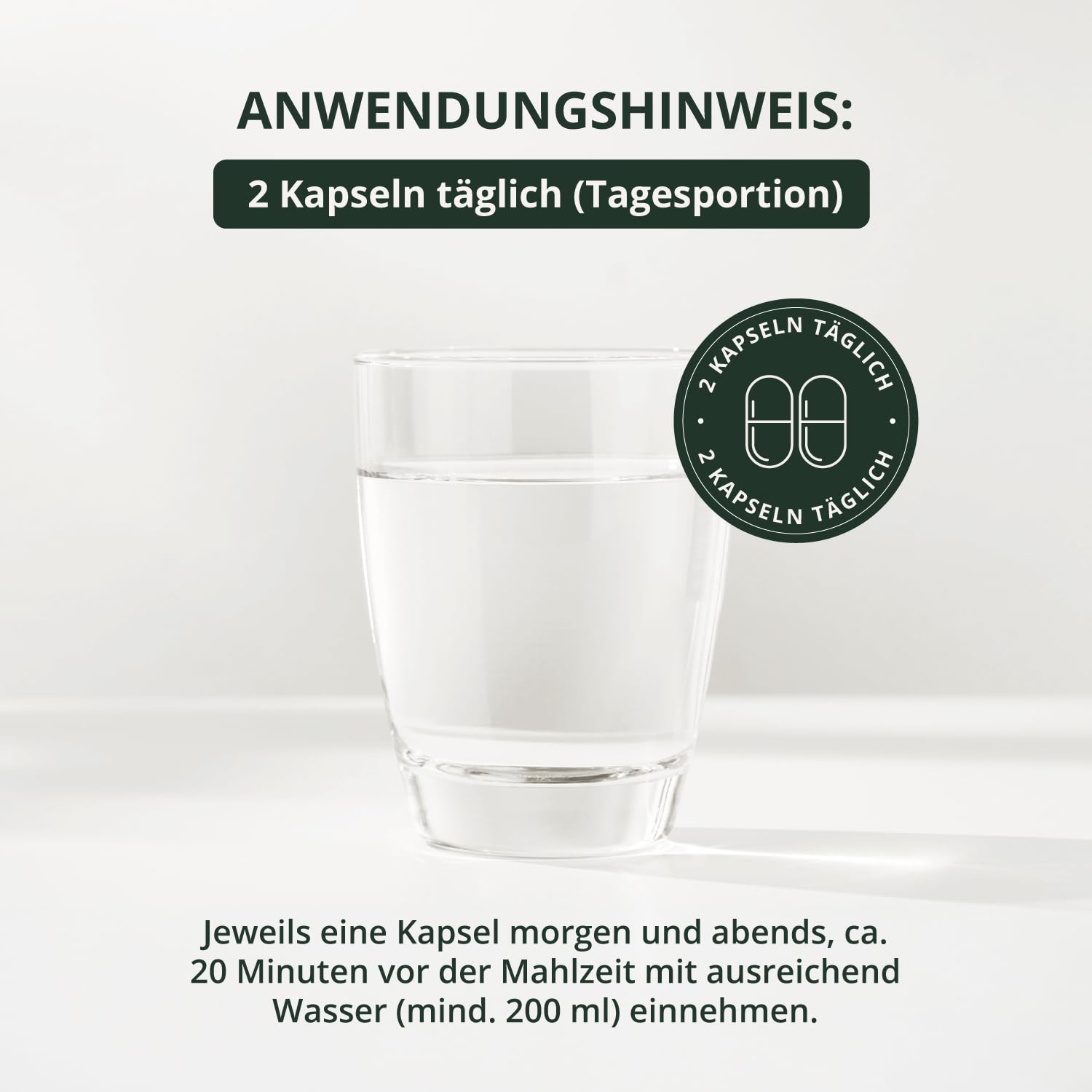 BodyFokus Clean Body Restart - Leber, Homocystein und Fettstoffwechsel - 60 Kapseln - made in Germany