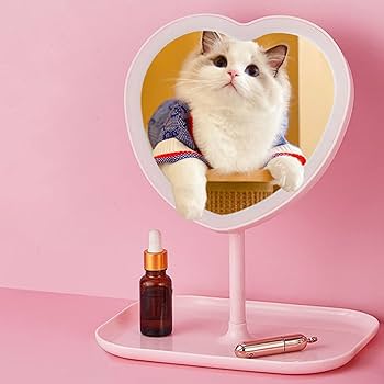 【希少】【美品】Rady ノベルティ メイクアップミラー Rady - Rady♡女優コンパクトミラーLEDライトオーロラノベルティ