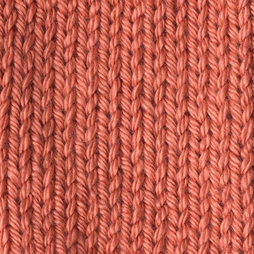 Caron Simply Soft-Pack of 4 Balls-170g Each Ball-Persimmon - Image 3