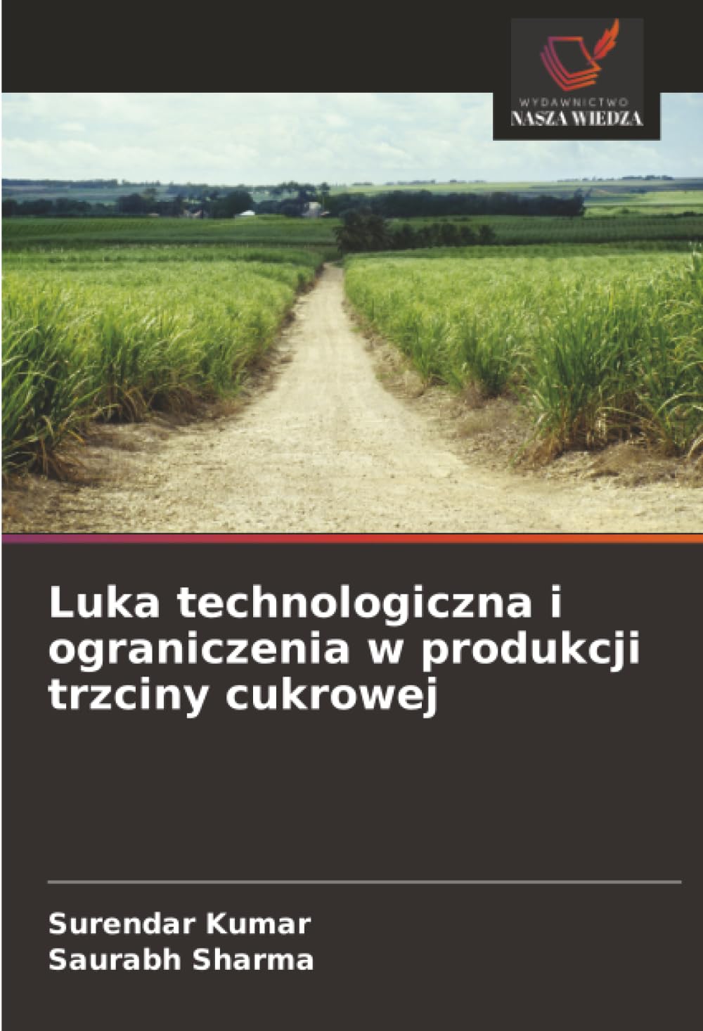 Luka technologiczna i ograniczenia w produkcji trzciny cukrowej