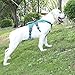 BELPRO Mehrzweck-Hundegeschirr, ausbruchsicher, kein Ziehen, reflektierend, verstellbare Weste mit strapazierfähigem Griff, Hundegeschirr für große/aktive Hunde(Blau, S)