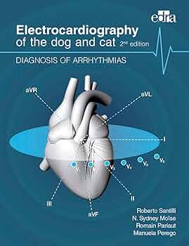 洋書 CARDIAC ARRHYTHMIAS in Dogs and Cats Cardiac Arrhythmias in Dogs and Cats: Mechanisms, diagnosis