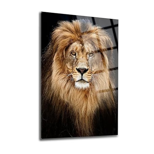 Dekadron Lion Wall Decor, Glass Wall Art, Frameless Free Floating Tempered Glass Panel, Living Room Decoration (27.5”W X 39.3”H – 70X100Cm) #TOP1