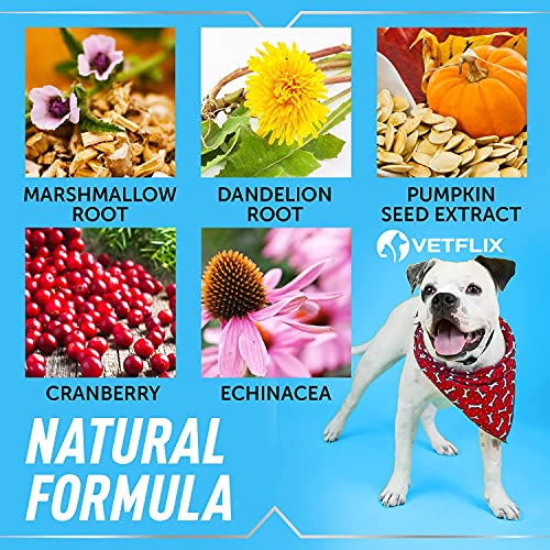 Vetflix Cranberry Dog & Cat Uti Treatment - Best Uti For Pets - Made In Usa - Dog & Cat Kidney Support - Cat Bladder Drops - Pet Immune Health Supplement - Marshmallow, Dandelion Root, Pumpkin Seed #TOP3