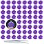 Daisy-purple