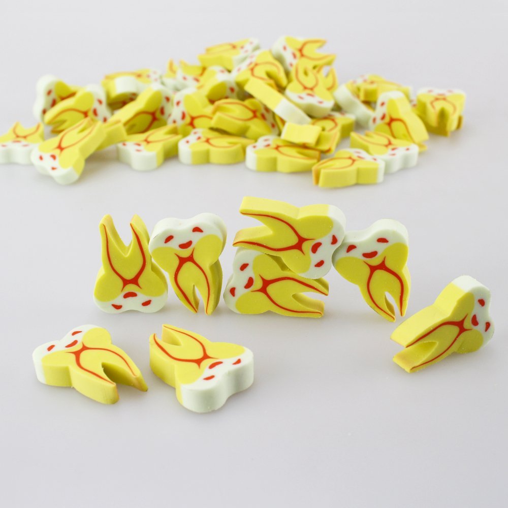 Amazon | airgoesin 50個 モル型歯ゴム消しゴム 歯科医院 子供 文房具