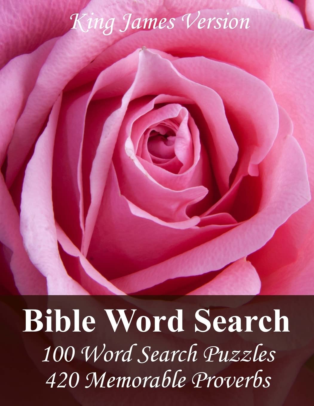 King James Version Bible Word Search: 100 Word Search Puzzles with 420 Memorable Proverbs in Jumbo Print