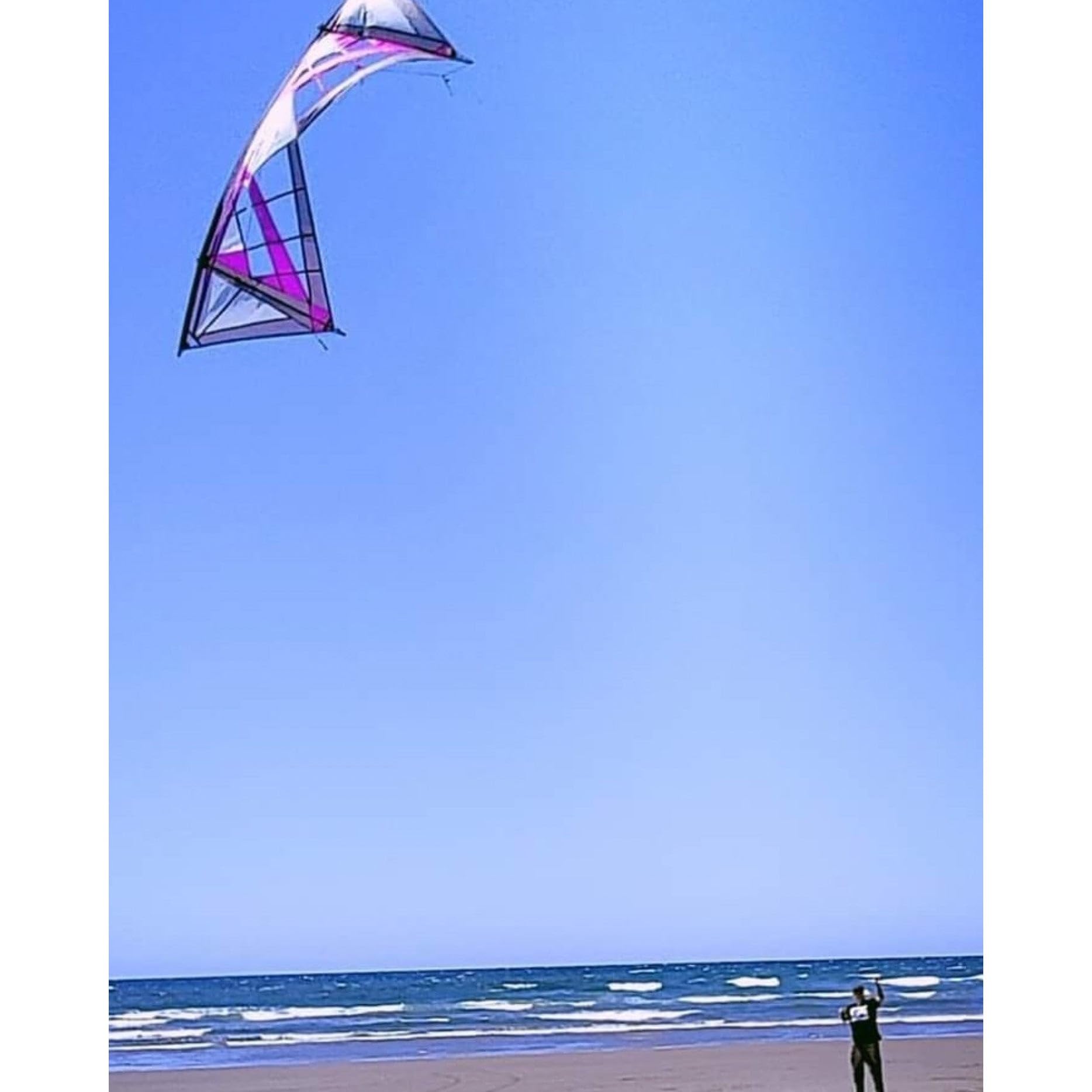 Ciervo Volante 4 líneas Reflex 1.5 RX Spiderweb, SPI PURP #4-1, Color Morado