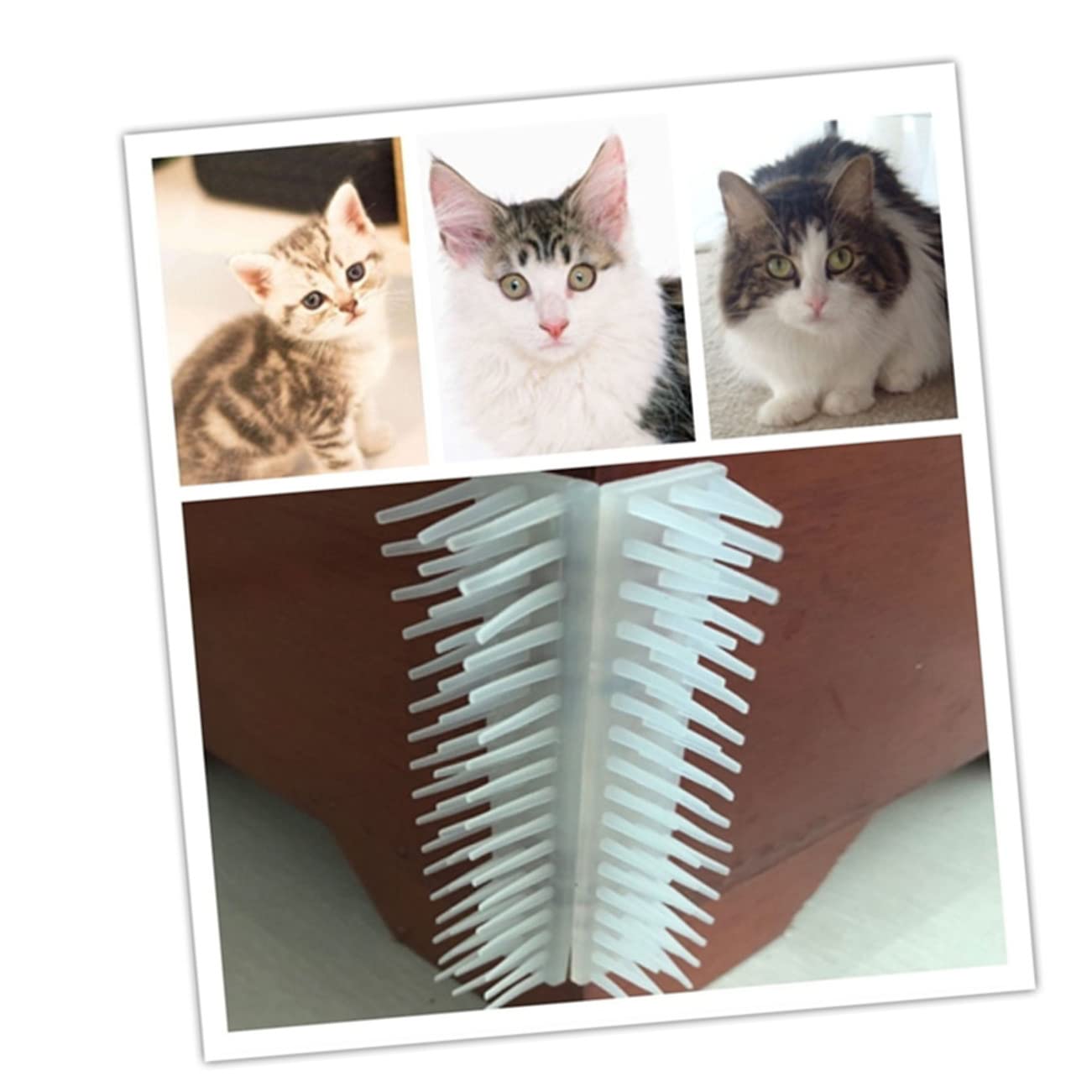 DOITOOL 12pezzi Pettini Massaggianti Per Gatti Spazzola Rimuovi Pelo Angolare Per Animali Domestici Comoda e Facile Da Pulire Per Rimozione Dei Pelucchi e Massaggio Cat Self Care