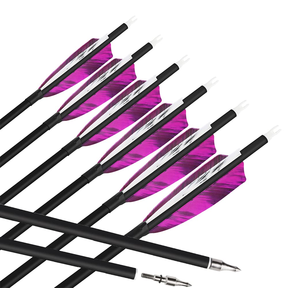6pcs Flèches en Carbone de Tir à l'arc 28/30/31 Pouces Flèches de Chasse Spine 500 avec Plume Nature pour Arc Classique Arc à Poulies