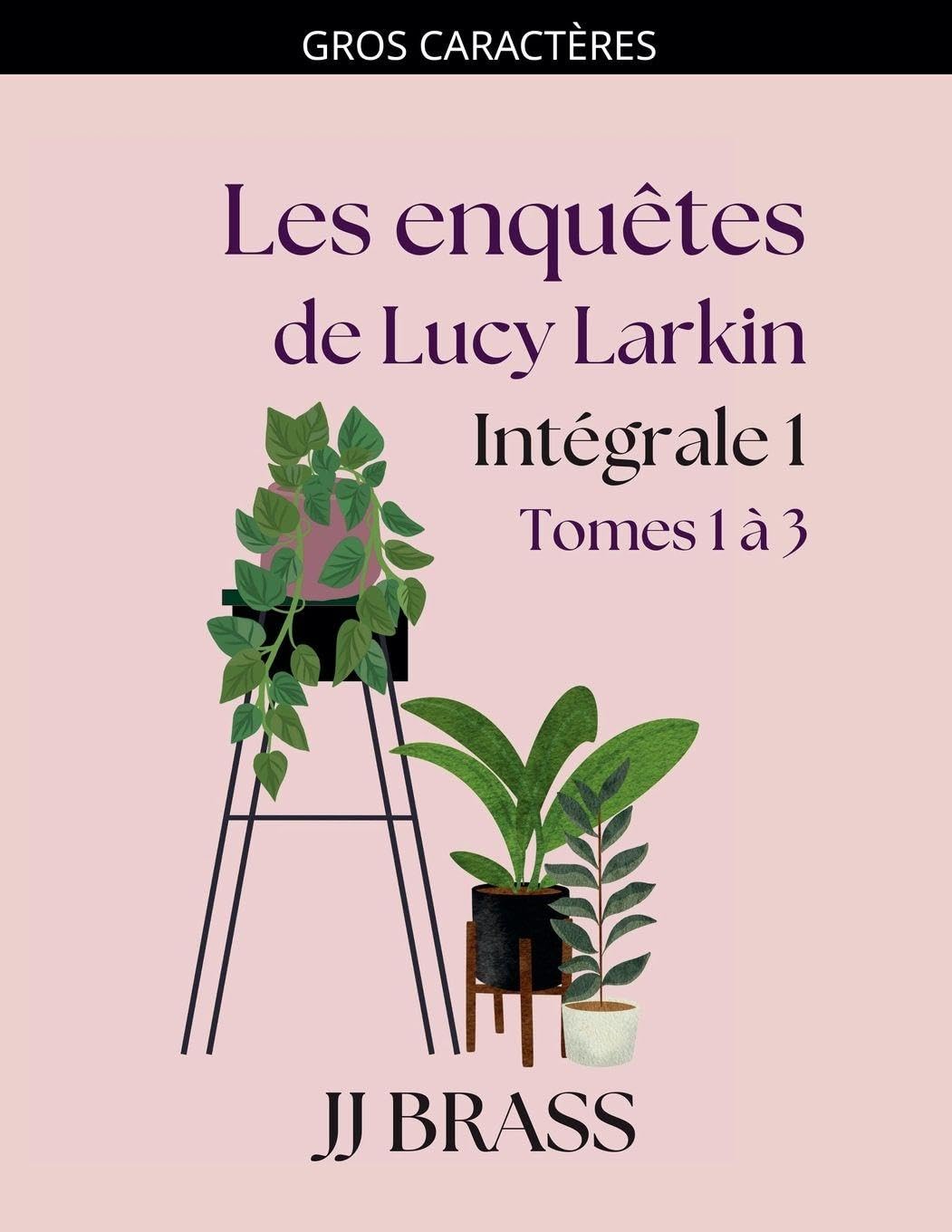 Les enquêtes de Lucy Larkin Intégrale 1: 3.5