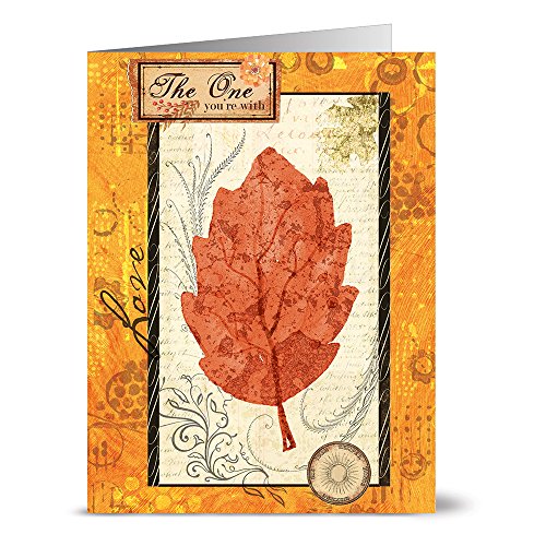 Note Card Cafe Christmas Greeting Card Set With Envelopes | 72 Pack | Blank Inside, Glossy Finish | Fall Blessings | Bulk Set For Greeting Cards, Occasions, Birthdays #TOP5