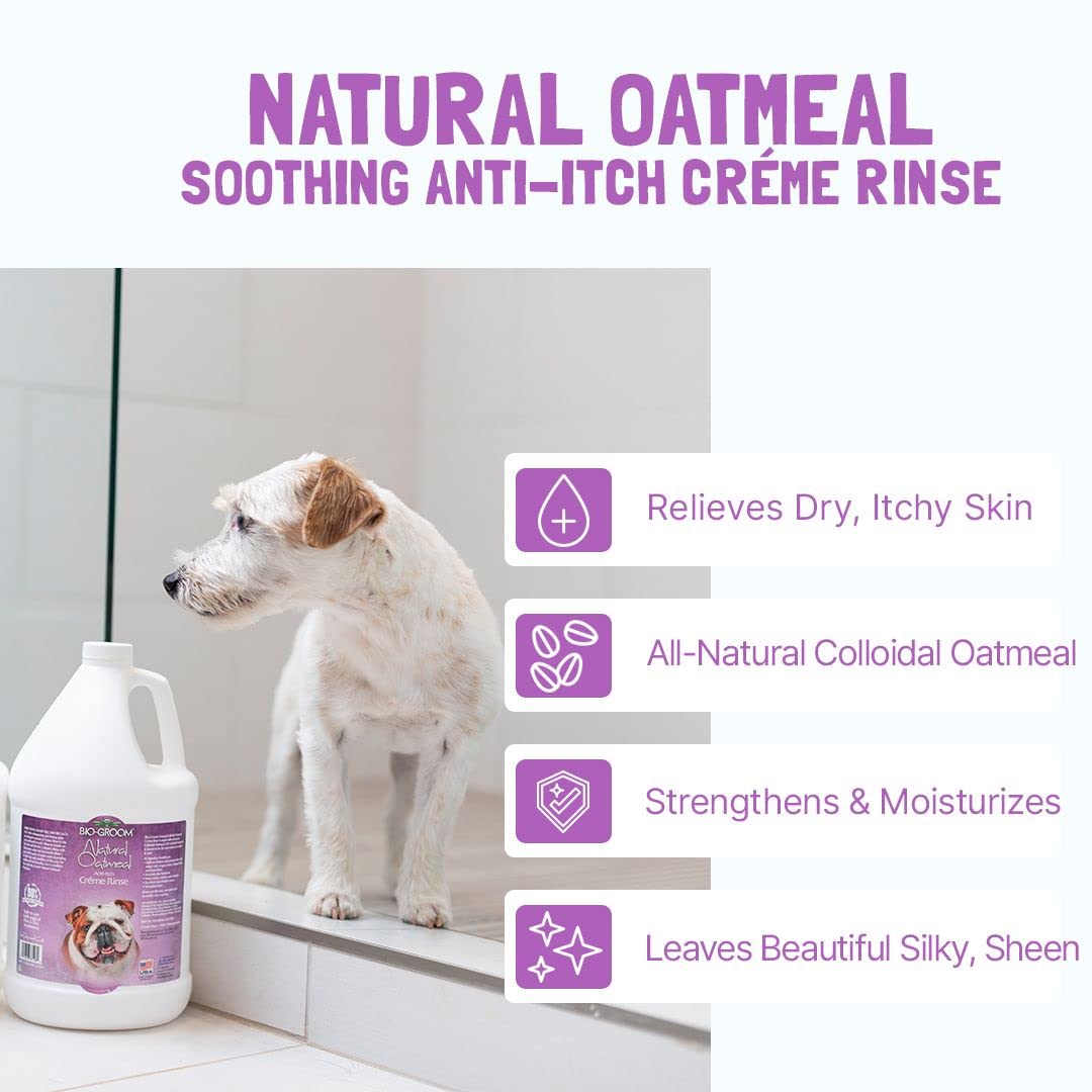 Bio-Groom - Natural Oatmeal Conditioner - Haferflocken Spülung - Hundespülung und Welpenspülung - Lindert Juckreiz und spendet Feuchtigkeit - pH-neutral und frei von Parabenen - 3.8 L