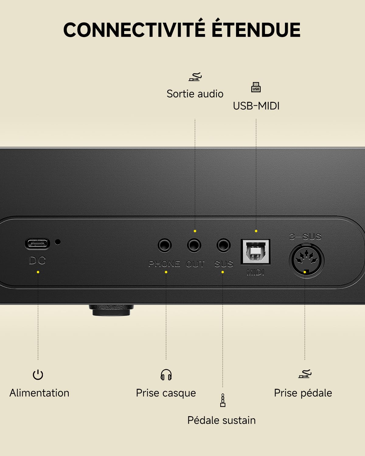 Donner DEP-05 Piano numérique 88 touches semi-lestées sensibles à la vélocité, clavier portable avec support en X amovible et pédale, idéal pour les débutants, connexion USB-MIDI sans fil, noir