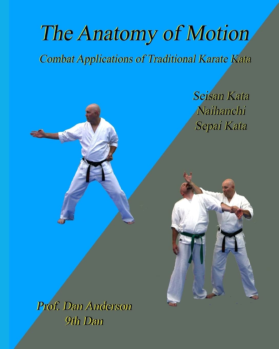 The Anatomy Of Motion: Combat Applications of Traditional Karate Kata