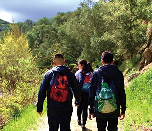 WindNSun Summit GoPak Daypack Lightweight Folding Travel Backpack - Hawaiian4