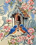Paint by Numbers Birds DIY Canvas Oil Painting Kits Animals Wall Decor for Beginner Adult Kids...