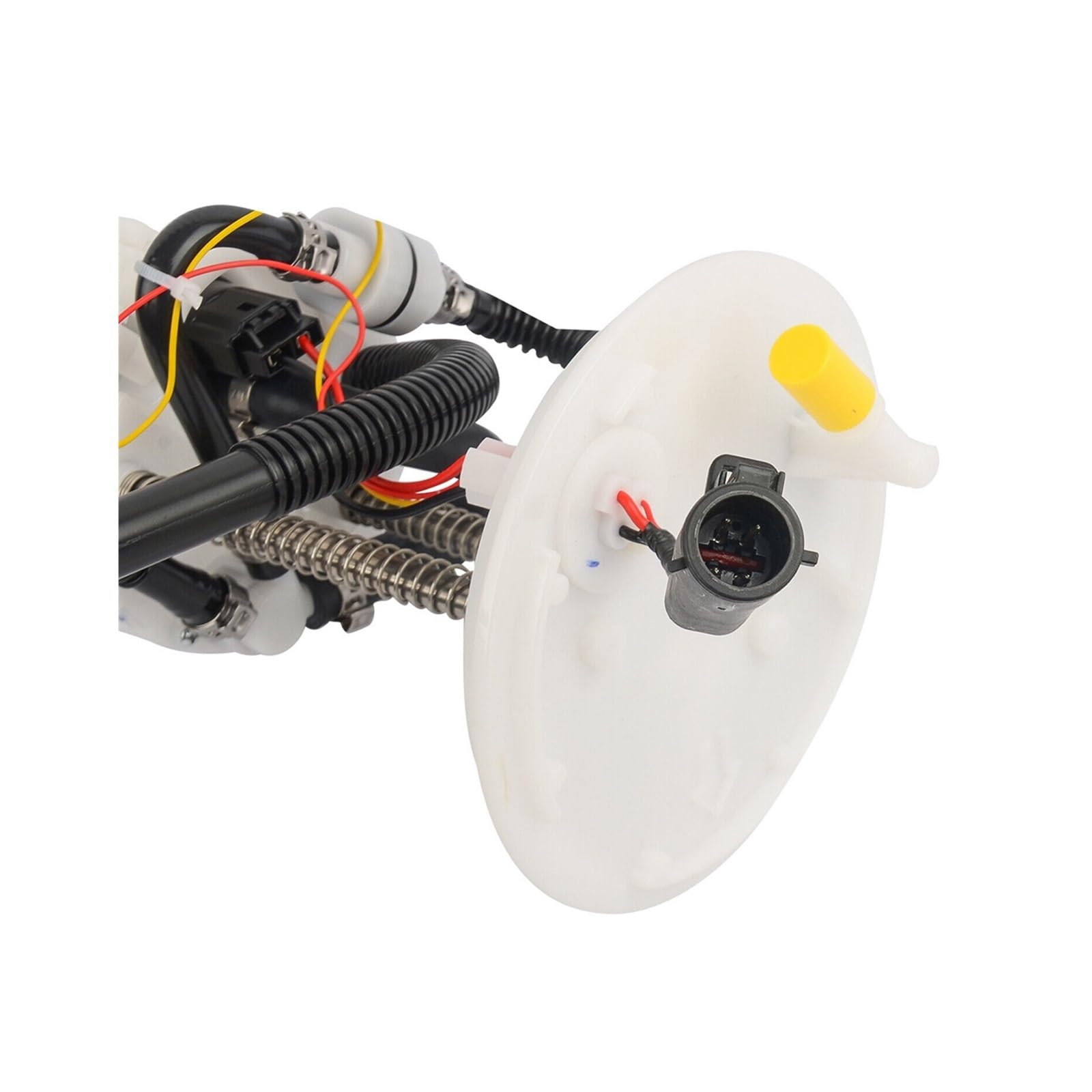 Amazon.com: Fuel Pump Assembly P76604M XR849199 C2C20262 C2C22131  