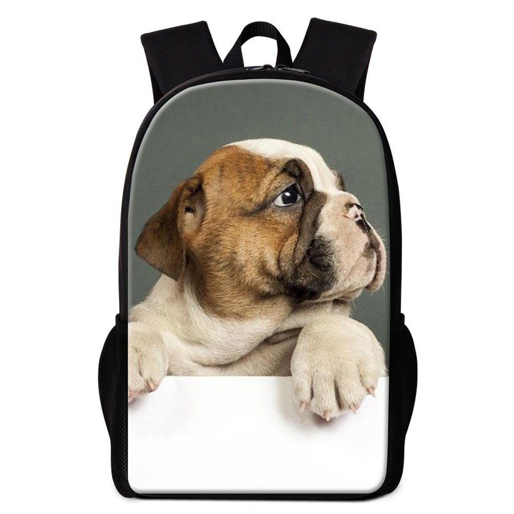 bulldog backpack
