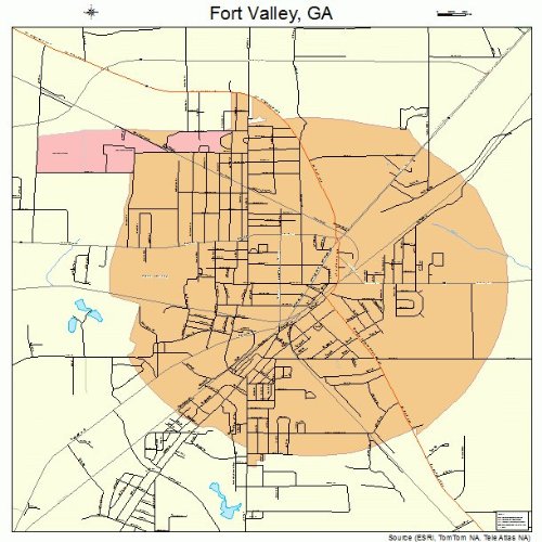 Large Street &amp; Road Map of Fort Valley, Georgia GA - Printed poster ...