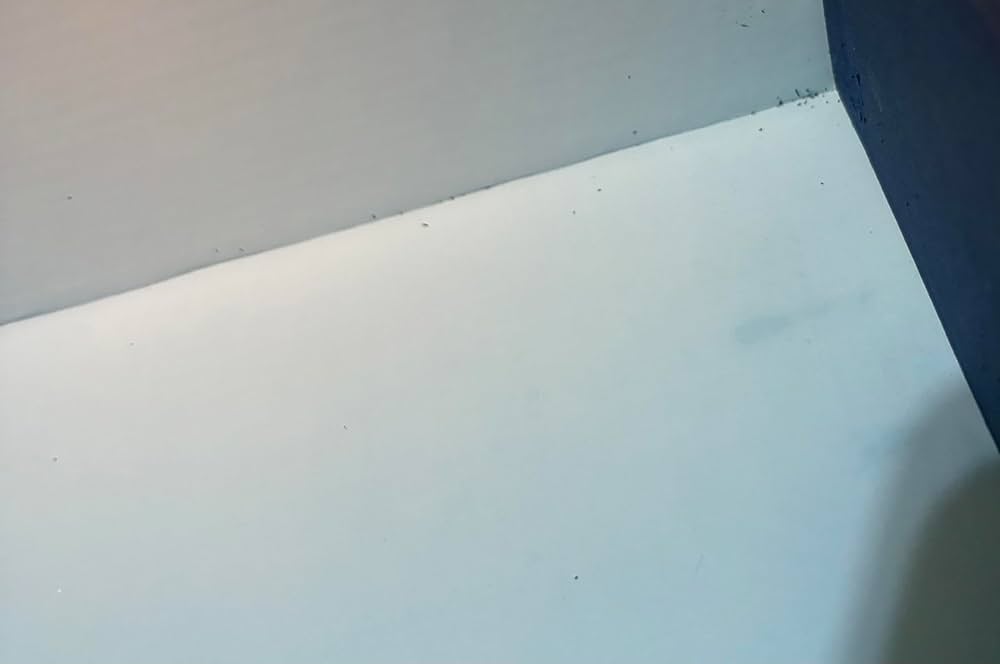 Steam純正コントローラー　付属品全てアリ Steam純正コントローラー 付属品全てアリ Amazon | STEAM