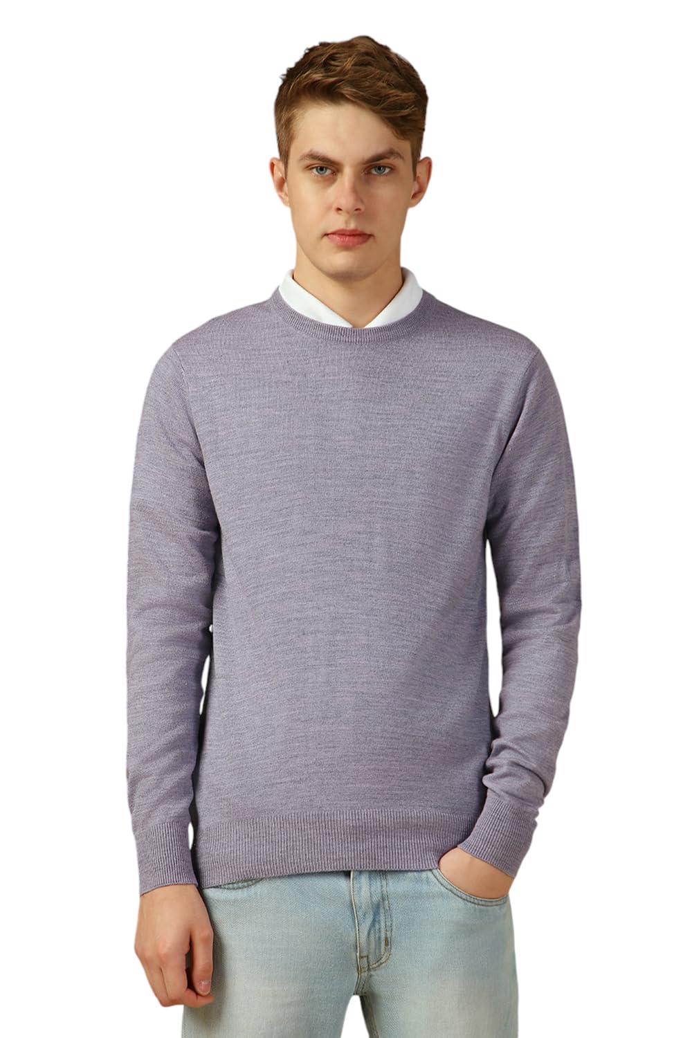 Dennis LingoMen Lavender Solid Slim Fit Full Sleeve Crew Pullover