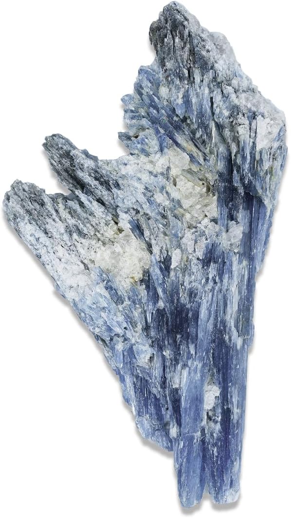 ウォルトディズニー 塔の上のラプンツェル 結婚指輪 ペアリング