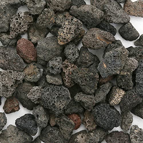 n⍻ kTCY Tbg ꍻ   llT_