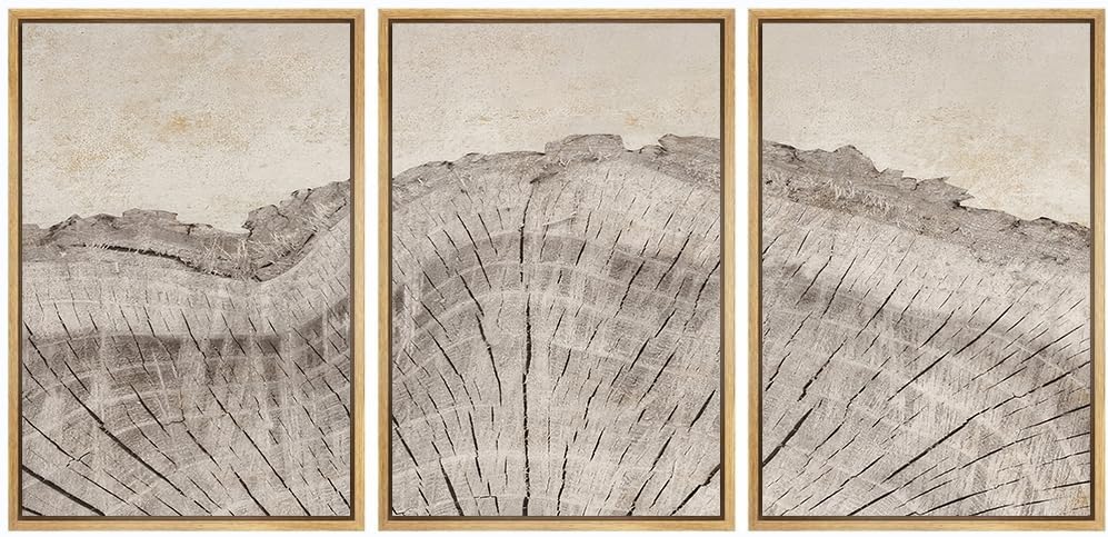 Œufs d'arbre en bois de chêne sur toiles encadrées haut de gamme pour intérieur