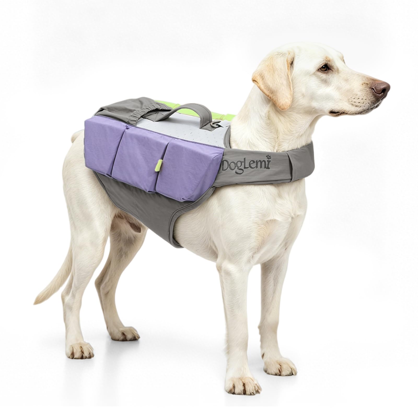 Chaleco salvavidas para perros, chaleco de alta flotabilidad para perros de hasta 90 libras