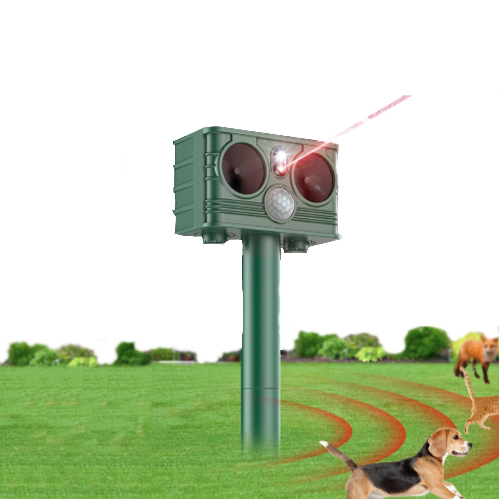 Répulsif chat et chien à ultrasons pour protéger le potager des lapins