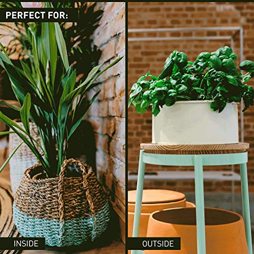 Peleg Design Care-It Plant Watering Device, Terracotta Vacation Plant Waterer Slow Release for Indoor and Outdoor Plants, Self Irrigation Watering System, Carrot Design