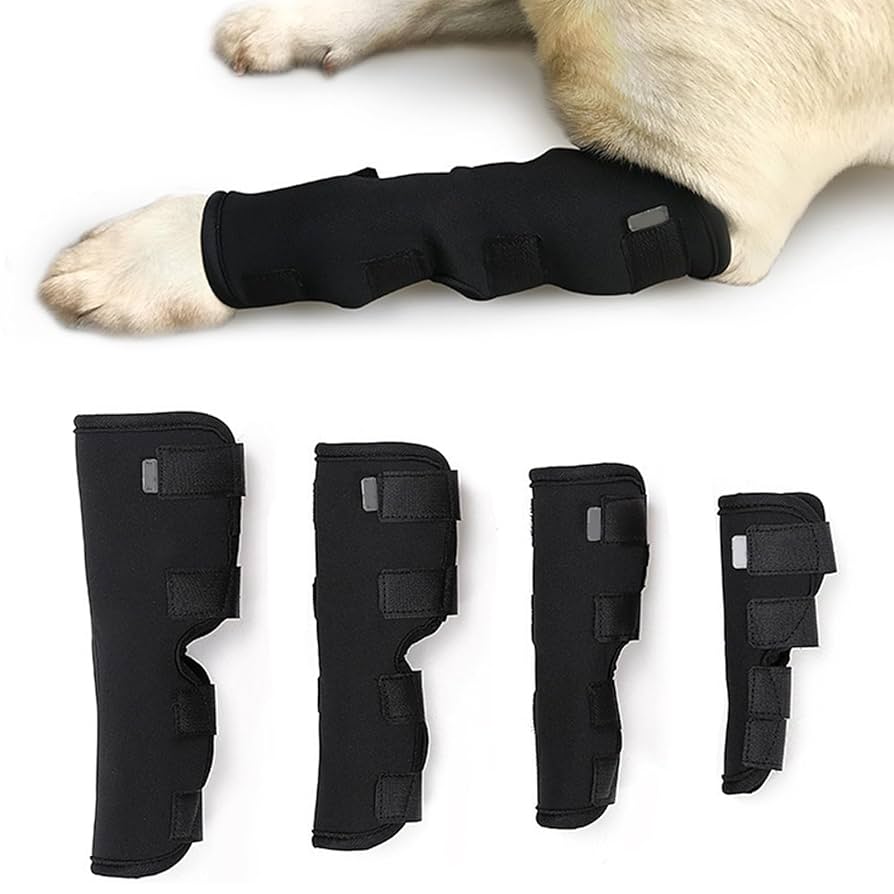 犬の四肢と骨盤への整形外科アプローチ 41rUYNbSv+L._AC_SY200_QL15_.jpg